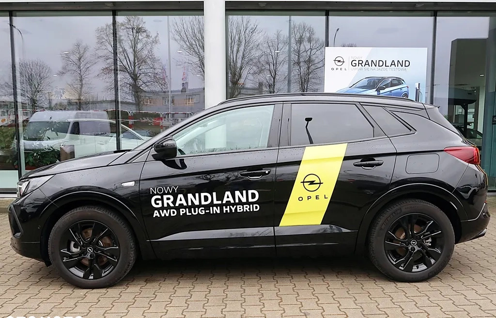 Opel Grandland X cena 179900 przebieg: 2000, rok produkcji 2022 z Pszczyna małe 92